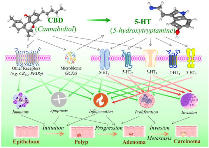 PMC12293229 – curroncol-32-00375-f003