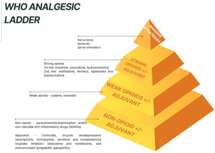 PMC12384594 – curroncol-32-00433-f002