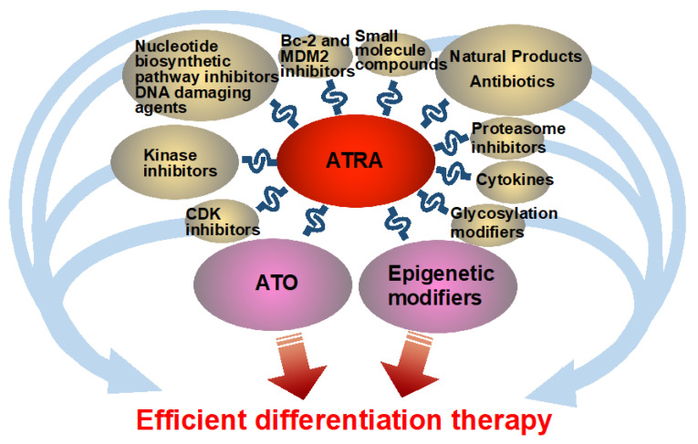 PMC12840481 – curroncol-33-00025-f001
