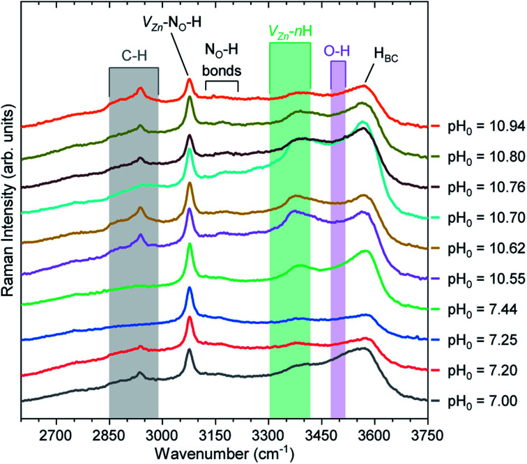 PMC9417859 – fig10