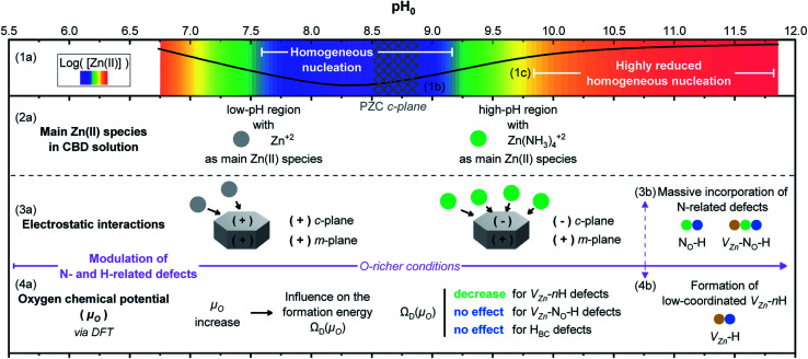 PMC9417859 – fig11