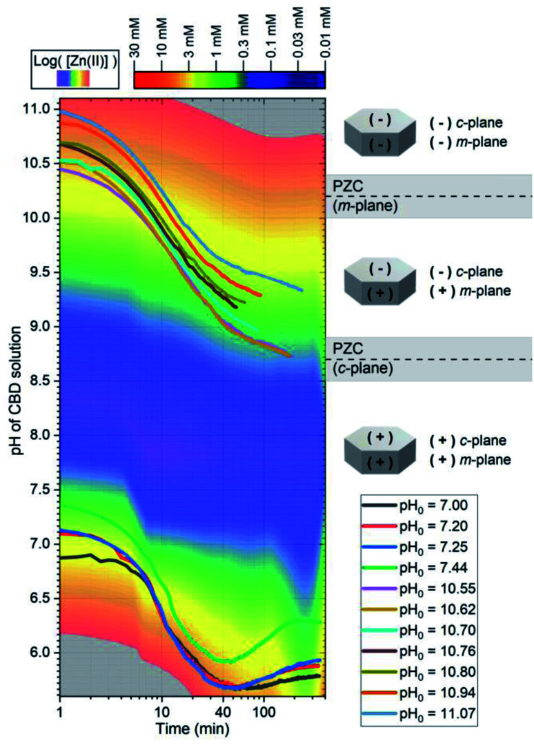 PMC9417859 – fig4
