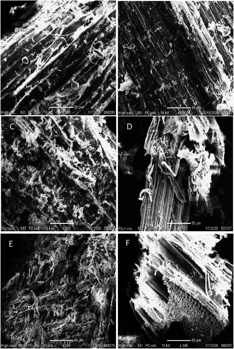 PMC9034124 – fig1