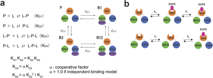 PMC11391413 – fig3
