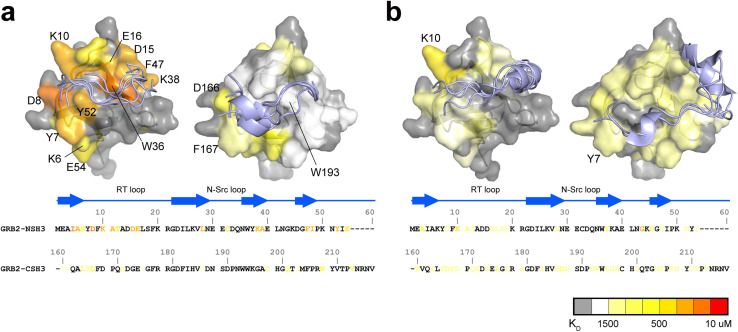 PMC11391413 – fig5