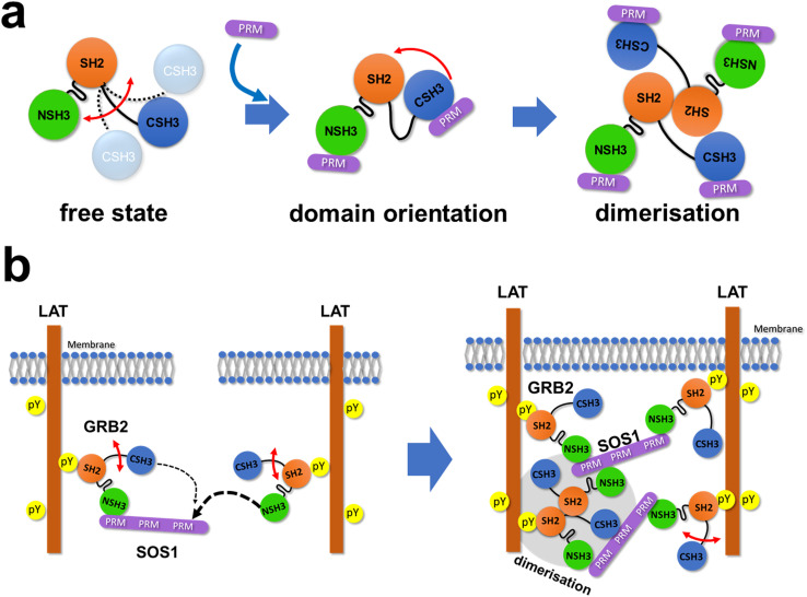 PMC11391413 – fig6