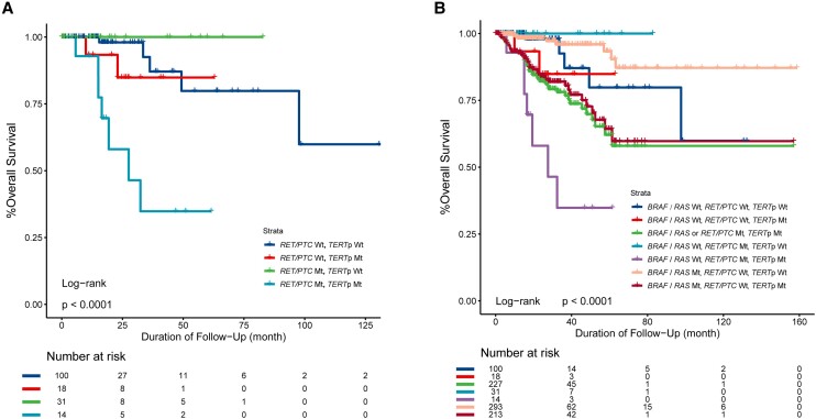 PMC11570377 – dgae327-F1