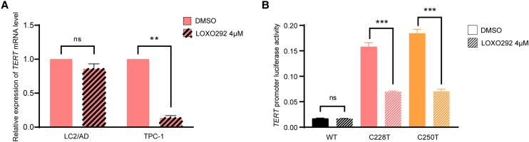 PMC11570377 – dgae327-F2