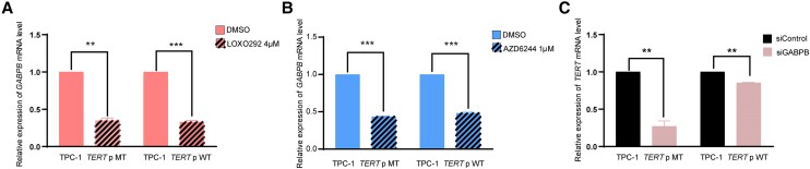 PMC11570377 – dgae327-F5