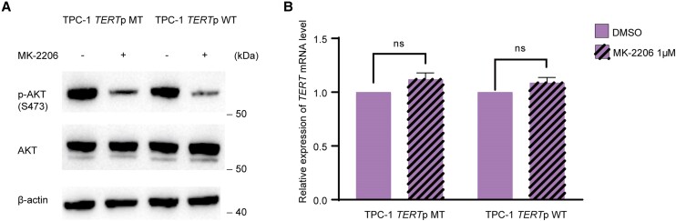 PMC11570377 – dgae327-F6