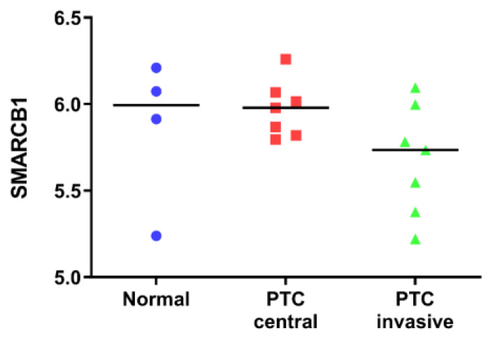 PMC7277944 – diagnostics-10-00280-f001