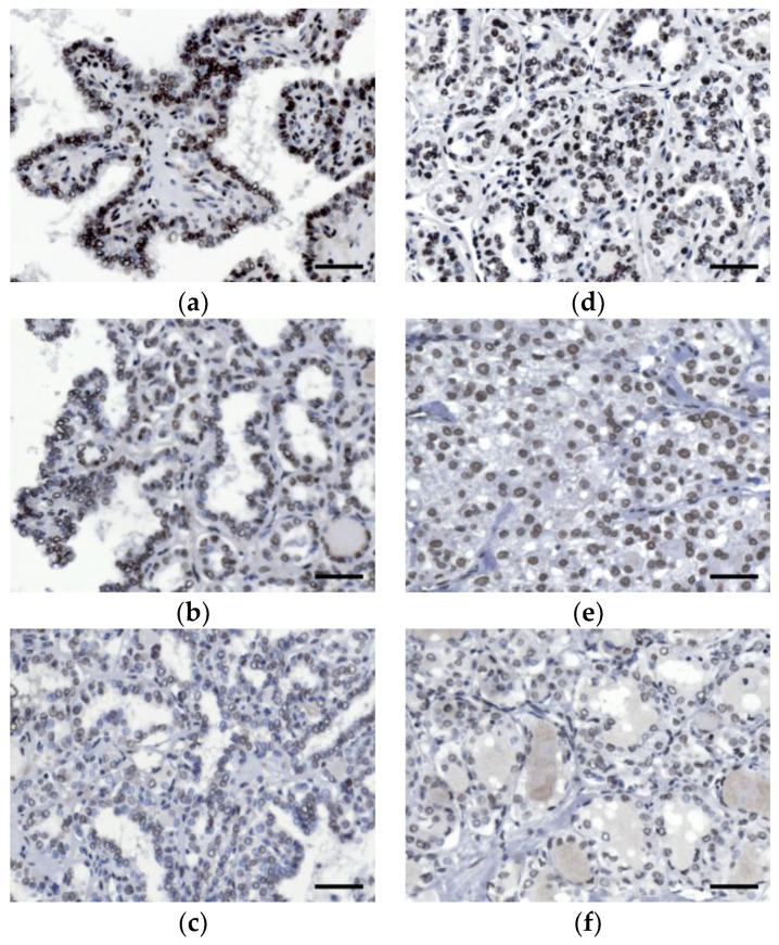PMC7277944 – diagnostics-10-00280-f003