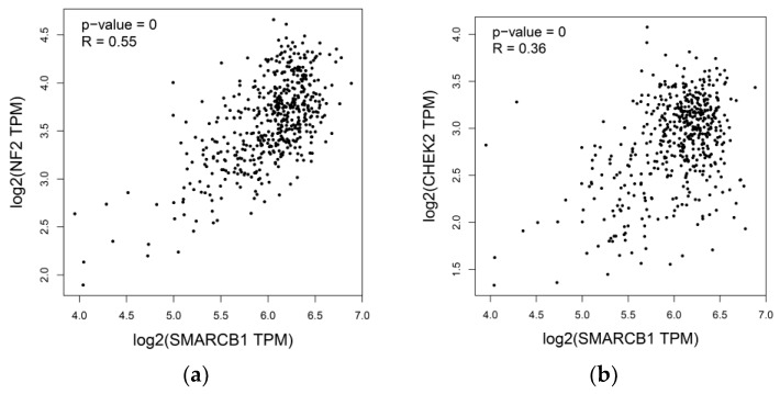 PMC7277944 – diagnostics-10-00280-f005