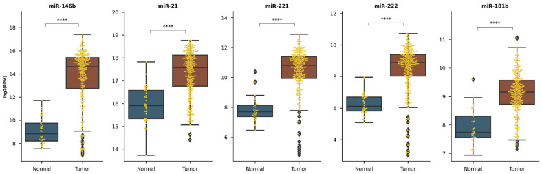 PMC8001862 – diagnostics-11-00418-f0A2