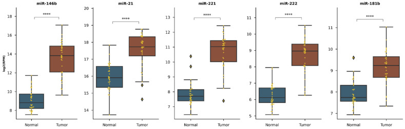 PMC8001862 – diagnostics-11-00418-f0A3