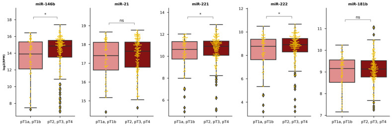 PMC8001862 – diagnostics-11-00418-f0A6