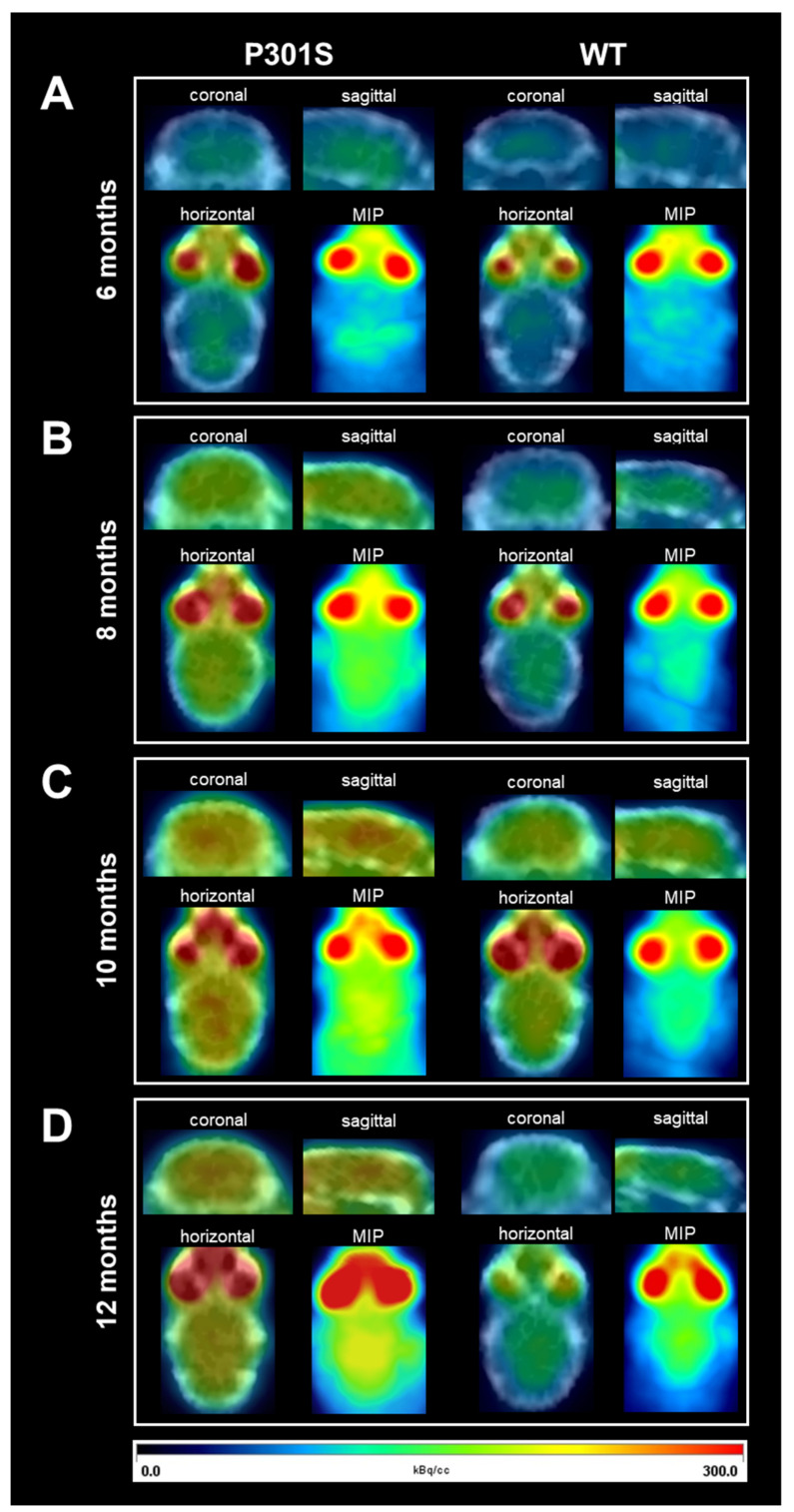 PMC8535097 – diagnostics-11-01874-f001