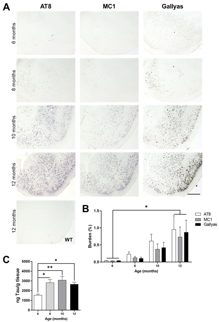 PMC8535097 – diagnostics-11-01874-f004