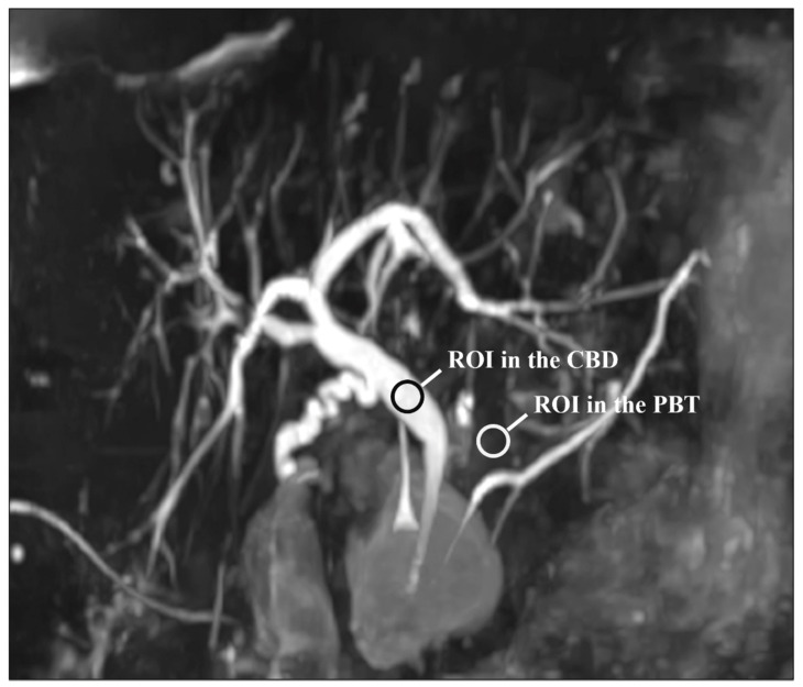 PMC8534472 – diagnostics-11-01886-f001