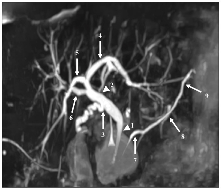 PMC8534472 – diagnostics-11-01886-f002