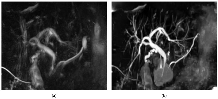 PMC8534472 – diagnostics-11-01886-f003