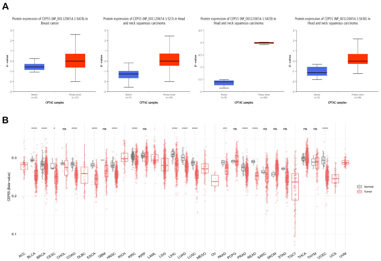 PMC10178510 – diagnostics-13-01613-f005