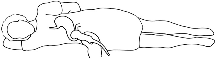 PMC11545054 – diagnostics-14-02366-f001