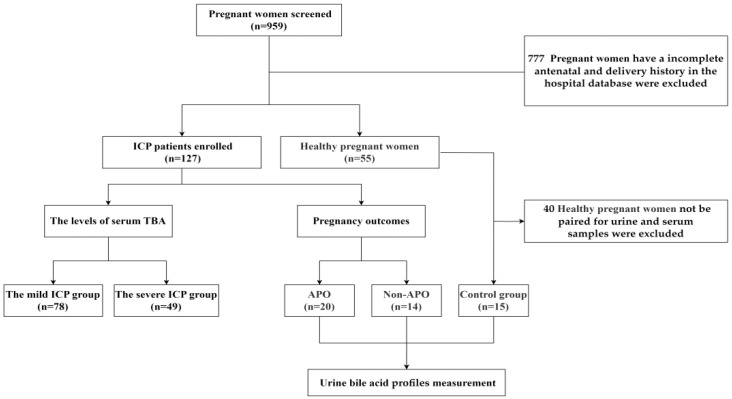 PMC11941055 – diagnostics-15-00657-f001