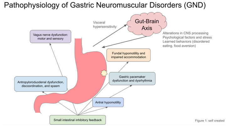 PMC11988396 – diagnostics-15-00935-f001