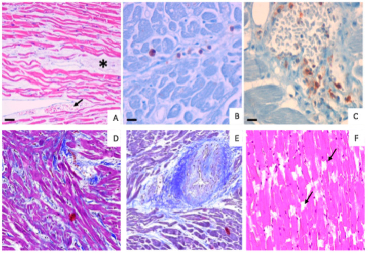 PMC12026069 – diagnostics-15-00999-f002