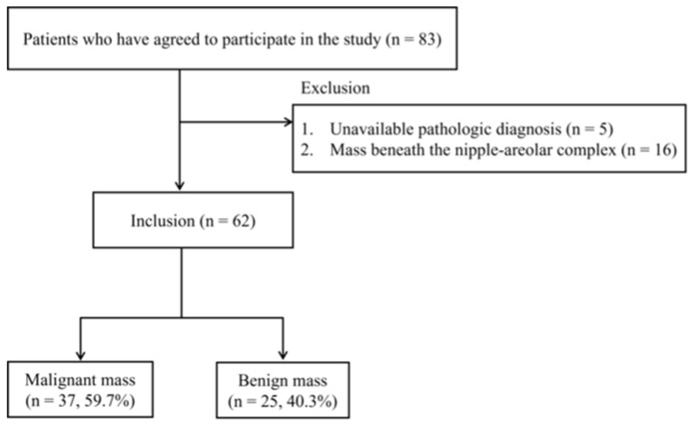 PMC12071914 – diagnostics-15-01067-f001