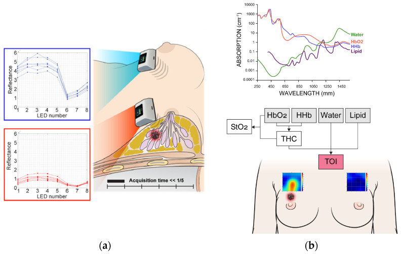 PMC12071914 – diagnostics-15-01067-f002