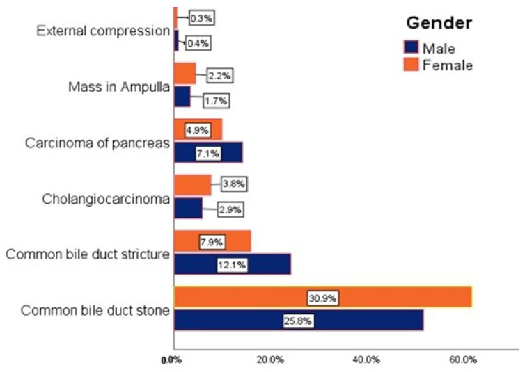PMC11727093 – diseases-12-00333-f004