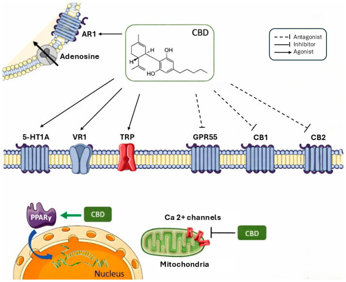 PMC12939546 – diseases-14-00083-f002