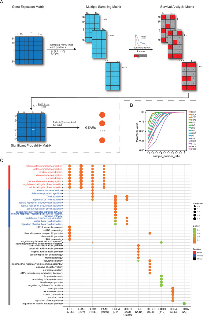 PMC12711199 – fig1