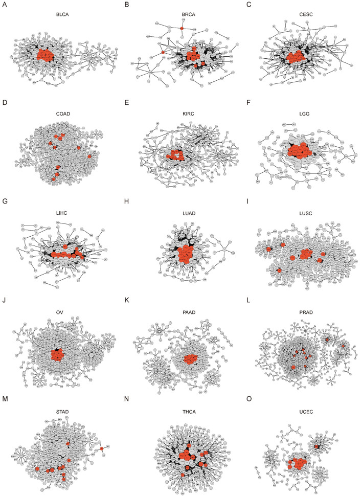 PMC12711199 – fig2s1