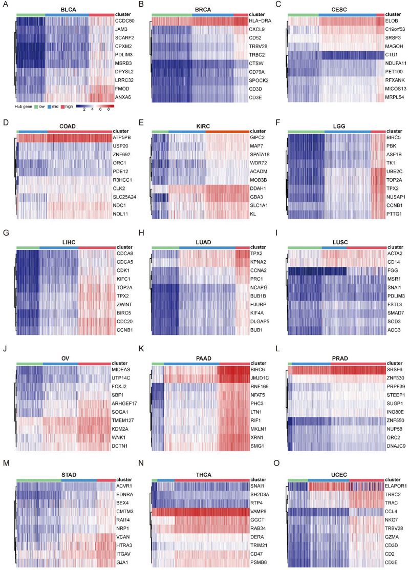 PMC12711199 – fig2s2