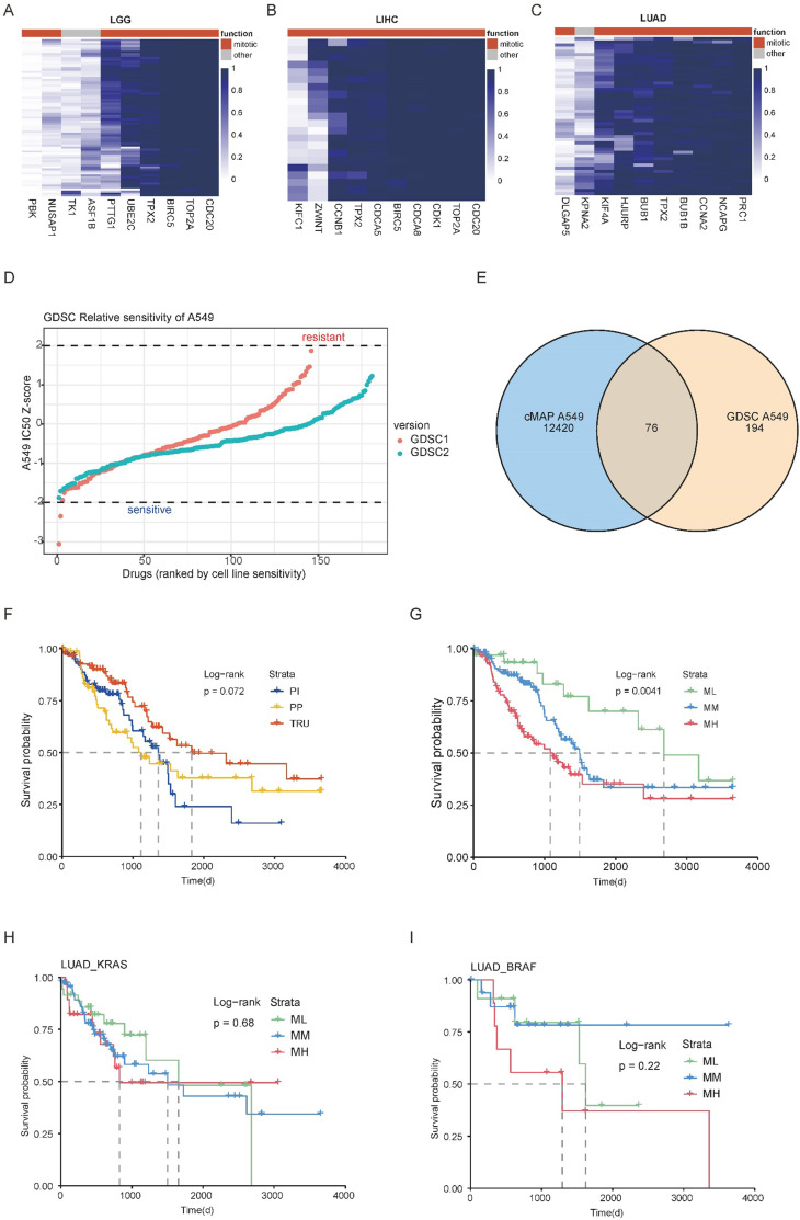 PMC12711199 – fig2s4