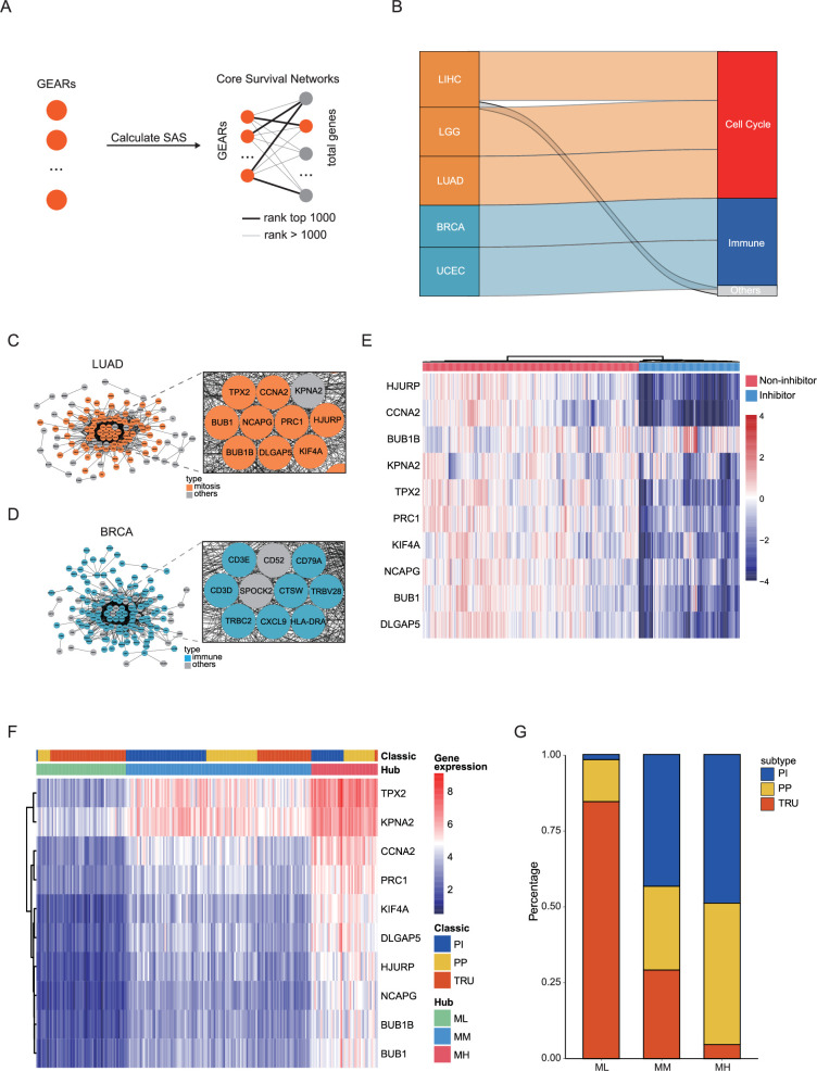 PMC12711199 – fig2