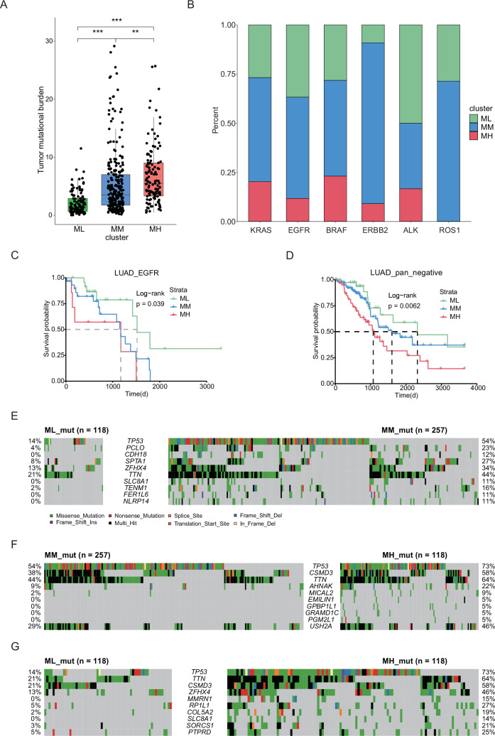 PMC12711199 – fig3