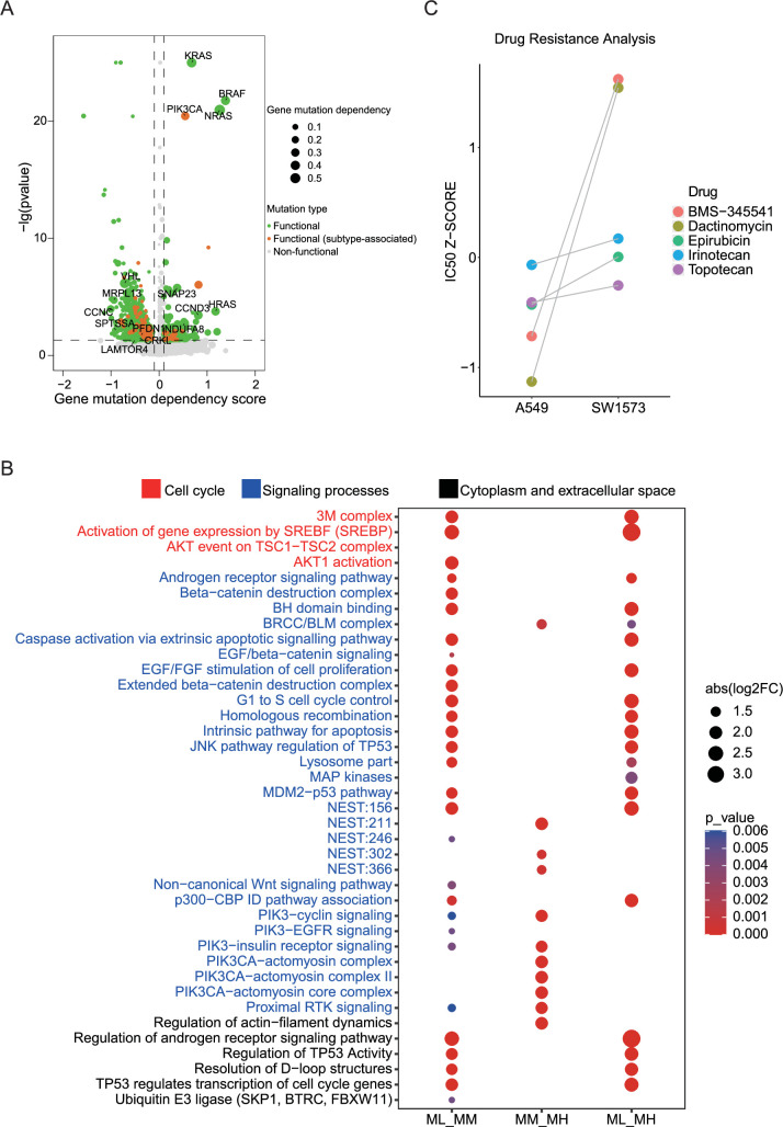 PMC12711199 – fig4