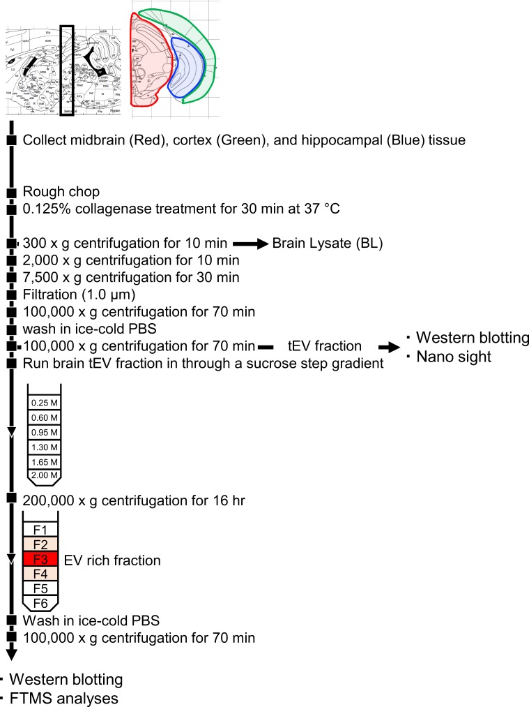 PMC6850780 – fig2s1