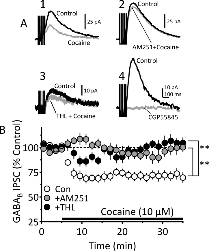 PMC6850780 – fig5s1