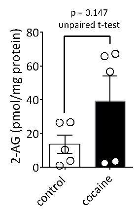 PMC6850780 – respfig1