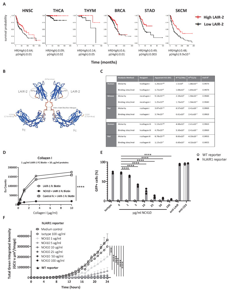 PMC8225389 – fig2