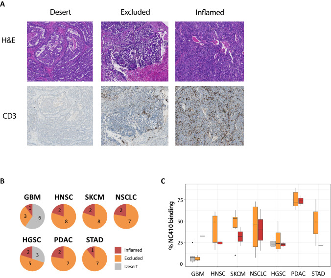 PMC8225389 – fig7s4
