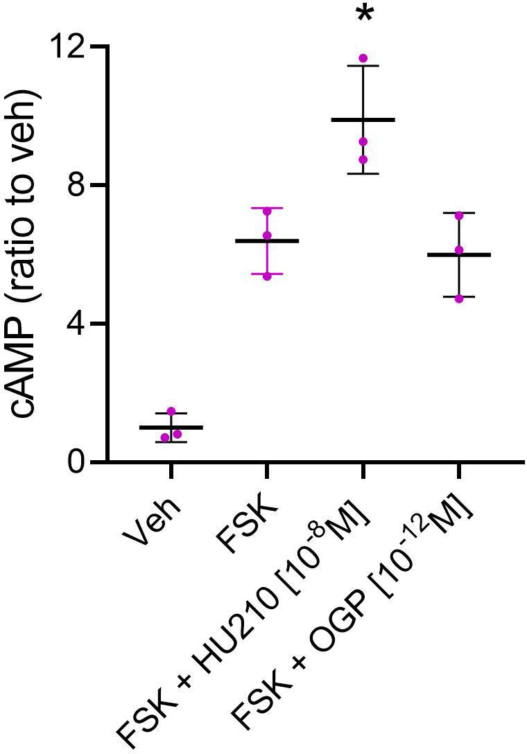 PMC9154745 – fig2s2