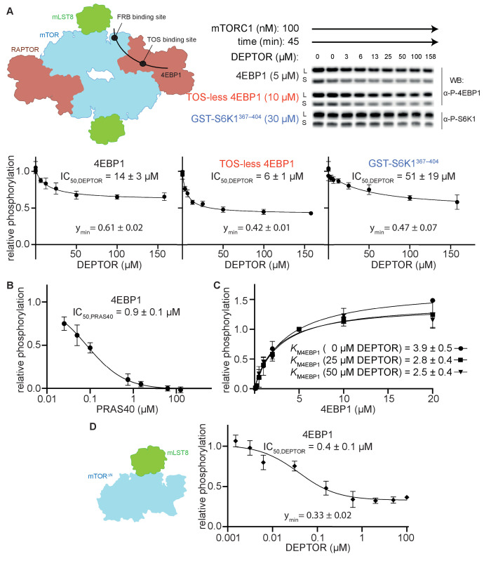 PMC8439657 – fig1