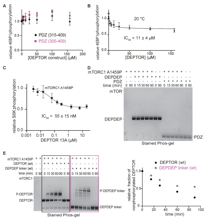 PMC8439657 – fig2s1