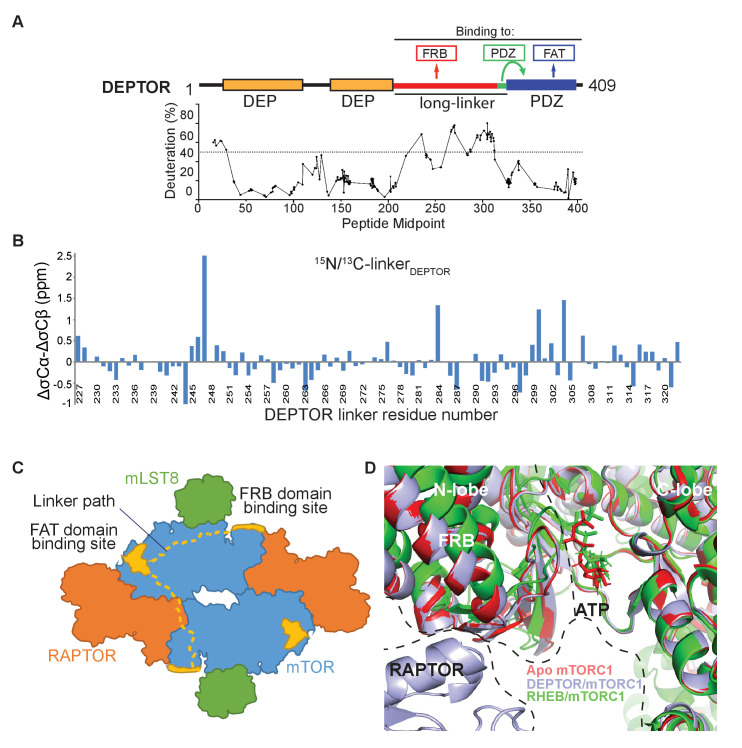 PMC8439657 – fig3s1
